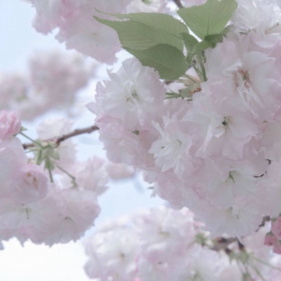 Furry绘画构图灵感兽圈群